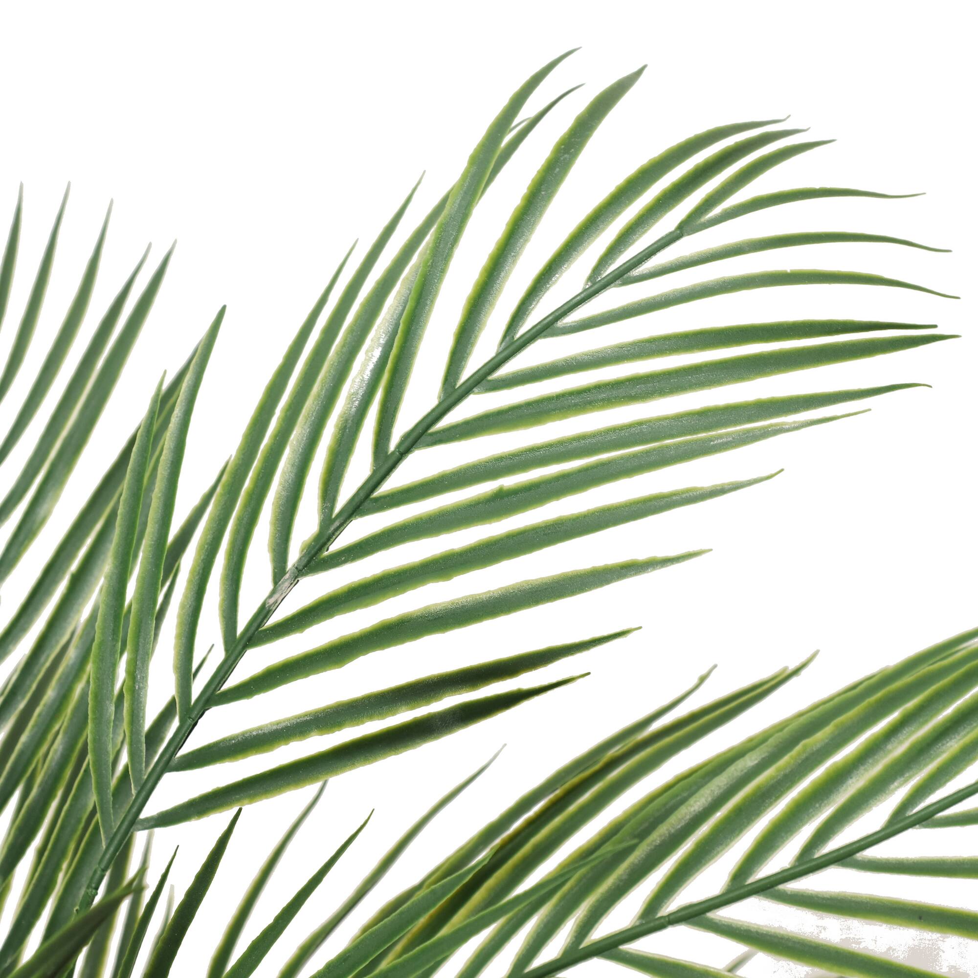 6 Pack: 3ft. Potted Areca Palm Tree